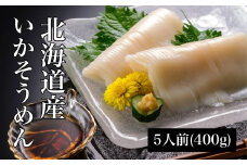 鮮度抜群！北海道 いかそうめん5人前(刺身用イカソーメン) 産地直送 ふるさと納税 人気 おすすめ ランキング いかそうめん イカソーメン いか 刺身 お造り 海鮮 いか刺し イカ スルメイカ するめいか アレンジ 透明感 歯ごたえ ツルツル 新鮮 鮮度抜群 いか納豆 明太子いか 黄金いか いくら和え おいしい とれたて 便利 小分けパック 函館名物 北海道 北斗市 送料無料 HOKD004