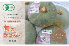 【JAS認定有機野菜】旬の南瓜3～6個セット ふるさと納税 人気 おすすめ ランキング 旬 かぼちゃ 南瓜 カボチャ 新鮮 鮮度抜群 野菜 ベジタブル おいしい 健康 北海道 北斗市 送料無料 HOKB015