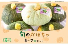 【JAS認定有機野菜】旬の南瓜5～7個セット ふるさと納税 人気 おすすめ ランキング 旬 かぼちゃ 南瓜 カボチャ 旬のかぼちゃ パンプキン 野菜 セット JAS認定 有機野菜 有機栽培 無農薬 クリリン 雪化粧 煮つけ 塩煮 天ぷら グラタン スープ グリル おいしい ほくほく 甘い 健康 ヘルシー 北海道 北斗市 送料無料 HOKB005