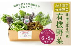 【JAS認定有機野菜】北斗市産 有機野菜6～8種類野菜セット 紙箱入(季節で種類が変わります) ふるさと納税 人気 おすすめ ランキング 野菜 詰め合わせ セット 有機野菜 有機栽培 南瓜 かぼちゃ 紫からし菜 からし菜 わさび菜 玉レタス サニーレタス ルッコラ レッドオーク レッドロメイン グリーンオーク グリーンロメイン 紫アスパラ おいしい 新鮮 北海道 北斗市 送料無料 HOKB020