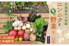 【JAS認定有機野菜】北斗市産 ニンニクと野菜9～11種類野菜セット 紙箱入(季節で種類が変更) ふるさと納税 人気 おすすめ ランキング ニンニク にんにく 国産 野菜 旬 セット 有機野菜 無農薬 有機栽培 紫アスパラ 紫からし菜 からし菜 南瓜 かぼちゃ サニーレタス ルッコラ レッドオーク レッドロメイン グリーンオーク グリーンロメイン 玉レタス 北海道 北斗市 送料無料 HOKB024
