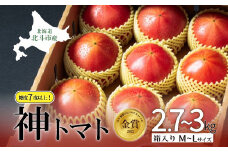 【先行受付】神トマト3K箱 【 ふるさと納税 人気 おすすめ ランキング 野菜 トマト とまと 神トマト リコピン おいしい 新鮮 鮮度抜群 健康 ヘルシー 北海道 北斗市 送料無料 】 HOKY001