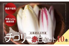 チコリー赤白セット ふるさと納税 人気 おすすめ ランキング 野菜 チコリ ちこり チコリー チコリー おいしい 新鮮 鮮度抜群 健康 ヘルシー 北海道 北斗市 送料無料 HOKY002