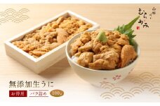 「うにむらかみ」無添加生うにお得用バラ詰め100g 【 ふるさと納税 人気 おすすめ ランキング うに ウニ 雲丹 海栗 塩水ウニ 塩水うに キタムラサキウニ バフンウニ うに丼 海鮮 ミョウバン 不使用 北海道 北斗市 送料無料 】 HOKT001