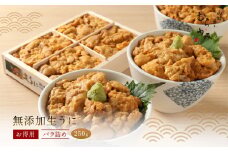 「うにむらかみ」無添加生うにお得用バラ詰め250g 【 ふるさと納税 人気 おすすめ ランキング うに ウニ 雲丹 海栗 塩水ウニ 塩水うに キタムラサキウニ バフンウニ うに丼 海鮮 ミョウバン 不使用 北海道 北斗市 送料無料 】 HOKT003
