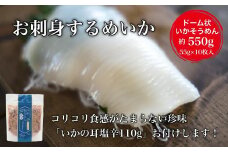 【道水】お刺身するめいか 業務用パック550g（55g×10枚入）いか耳塩辛110g付き 北海道直送 【 ふるさと納税 人気 おすすめ ランキング いか お造り お刺身 鮮度抜群 冷凍 いかそうめん イカソーメン 甘い お得 いか納豆 黄金いか いか明太子 いくら和え おつまみ おかず 海鮮 おいしい 新鮮 たっぷり 北海道 北斗市 送料無料 】 HOKD028
