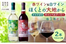 ほくとの大地から キャンベル・アーリー赤とナイアガラ白のセット 各720ml 【 ふるさと納税 人気 おすすめ ランキング ワイン 赤ワイン 白ワイン ライト 720ml 葡萄 ぶどう キャンベルアーリー 果実酒 お酒 セット 詰合せ ギフト 贈答 贈り物 プレゼント お祝い 北海道 北斗市 送料無料 】 HOKJ007