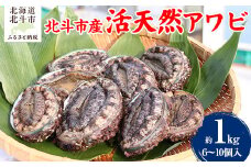 北斗市産 活天然アワビ 6～10個入 【 ふるさと納税 人気 おすすめ ランキング  あわび アワビ 鮑 天然あわび 天然アワビ 天然鮑 天然 活天然 北斗市産 海鮮 新鮮 津軽海峡 北海道 北斗市 送料無料 】 HOKAJ002 