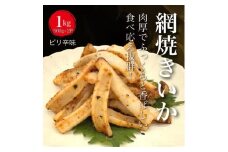 【道水の焼きいか】皮無し網焼きいか ピリ辛味1kg(500g×2パック) 北海道直送 HOKD033