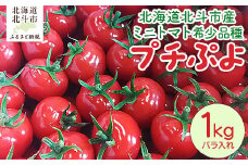北海道北斗市産ミニトマト希少品種「プチぷよ」（2025年6月以降発送）【 ふるさと納税 人気 おすすめ ランキング トマト とまと プチとよ 野菜 やさい 国産 北海道産 希少 甘い ミニトマト 北海道 北斗市 送料無料 】 HOKAU001