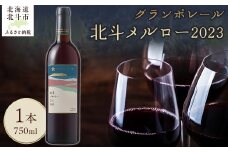 グランポレール　北斗メルロー2023 【 ふるさと納税 人気 おすすめ ランキング ワイン わいん 赤ワイン ライト メルロー 葡萄 ぶどう お酒 ギフト 贈答 贈り物 プレゼント お祝い 北海道 北斗市 送料無料 】 HOKJ010