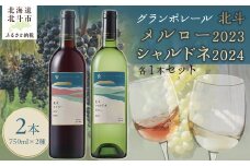 グランポレール　北斗メルロー2023　シャルドネ2024　各1本セット 【 ふるさと納税 人気 おすすめ ランキング ワイン わいん 赤ワイン 白ワイン メルロー シャルドネ 葡萄 ぶどう お酒 セット 詰合せ ギフト 贈答 贈り物 プレゼント お祝い 北海道 北斗市 送料無料 】 HOKJ012