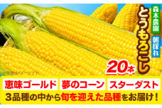 [1.4-77]【2025年先行予約】 森本農園 とうもろこし20本セット | とうもろこし トウモロコシ 北海道とうもろこし 朝採れとうもろこし 産地直送とうもろこし st-p