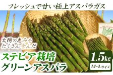 [1.4-180]　ステビア栽培グリーンアスパラ1.5kg 北海道 当別町 グリーンアスパラ アスパラ 