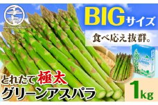 [1.6-69]【令和7年先行受付】　とれたて極太グリーンアスパラ1kg st-p