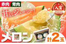 [1.2-84] 【2025年先行予約】メロン（赤肉・青肉）計2玉 | メロン めろん 赤肉メロン 青肉メロン 北海道メロン