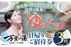 [1-176]　ふとみ銘泉万葉の湯日帰りご招待券3枚温泉 | 利用券 クーポン 国内旅行 観光 トラベル 体験 チケット 美肌の湯 カップル ペア 親子 シングル おひとり様 北海道 天然温泉 源泉かけ流し 露天風呂 大浴場 家族風呂 st-p