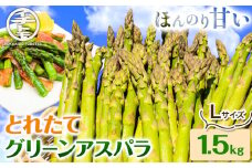 [1.6-70]【令和7年先行受付】とれたてグリーンアスパラLサイズ1.5kg