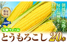 [1.4-218] 石田ファーム とうもろこし詰め合わせ２０本セット 北海道 当別町 st-p