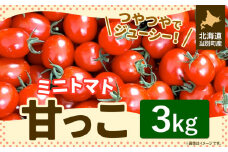 [1.8-219]　北海道当別町産化学農薬不使用ミニトマト：甘っこ3kg st-p