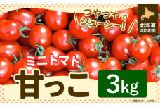 [1.8-219]　北海道当別町産化学農薬不使用ミニトマト：甘っこ3kg st-p