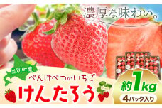 [1.1-261]【2025年先行予約】べんけべつのいちご けんたろう 約1kg (1箱4パック入り)  | イチゴ いちご べんけべつのいちご 道産子イチゴ