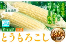 [2.41-263]【2025年先行予約】照之家商店 鮮度抜群とうもろこし30本 | とうもろこし トウモロコシ 北海道とうもろこし 朝採れとうもろこし 産地直送とうもろこし 北海道産とうもろこし