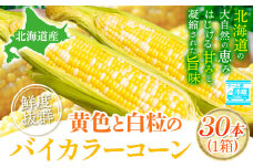 [2.41-262]【2025年先行予約】照之家商店 鮮度抜群 とうもろこし「黄色と白粒のバイカラーコーン」30本| とうもろこし トウモロコシ 北海道とうもろこし 朝採れとうもろこし 産地直送とうもろこし 北海道産とうもろこし
