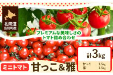 [2-269]　北海道当別町産化学農薬不使用ミニトマト：甘っ子 雅 3kg st-p