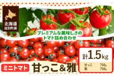 [1-268]　北海道当別町産化学農薬不使用ミニトマト：甘っ子 雅 1.5kg st-p