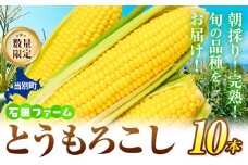 [0.9-319] 石田ファーム とうもろこし詰め合わせ10本セット 訳あり 不揃い 朝採り 野菜 新鮮 夢のコーン 甘獲娘 スターダスト 恵味ゴールド 恵味スター ほしつぶコーン わくわくコーン ロイシーコーン 旬の品種 10本 トウモロコシ キャンプ BBQ SDGs 詰合せ st-p