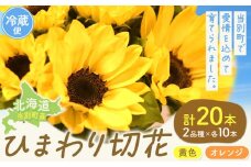 [1-282]ひまわり 切花 20本 黄色 オレンジ 四季農場《6月上旬-10月中旬頃出荷》北海道 当別町 花 お花 はな ひまわり 夏 切り花 冷蔵便 北海道産 当別町産 インテリア