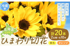 [1-282]ひまわり 切花 20本 黄色 オレンジ 四季農場《6月上旬-10月中旬頃出荷》北海道 当別町 花 お花 はな ひまわり 夏 切り花 冷蔵便 北海道産 当別町産 インテリア