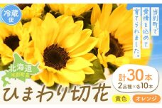 [1.5-283]ひまわり 切花 30本 黄色 オレンジ 四季農場《6月上旬-10月中旬頃出荷》北海道 当別町 花 お花 はな ひまわり 夏 切り花 冷蔵便 北海道産 当別町産 インテリア