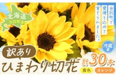 [1-284]【訳あり】ひまわり 切花 30本 黄色 オレンジ 四季農場《6月上旬-10月中旬頃出荷》北海道 当別町 花 お花 はな ひまわり 夏 切り花 冷蔵便 北海道産 当別町産 インテリア