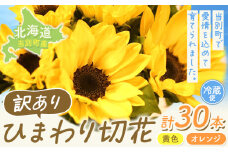 [1-284]【訳あり】ひまわり 切花 30本 黄色 オレンジ 四季農場《6月上旬-10月中旬頃出荷》北海道 当別町 花 お花 はな ひまわり 夏 切り花 冷蔵便 北海道産 当別町産 インテリア