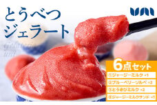 [1.2-343] とうべつジェラート＆ジェラートサンド 6点セット ジャージーミルク ブルーベリーソルベ とうきびミルク ジャージーミルクサンド Gelateria uni 株式会社一蓮 おやつ アイス ジェラート デザート 食後 フレーバー 北海道 当別町