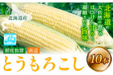 [1.12-359]【2025年先行予約】照之家商店 鮮度抜群とうもろこし10本 | とうもろこし トウモロコシ 北海道とうもろこし 朝採れとうもろこし 産地直送とうもろこし 北海道産とうもろこし 