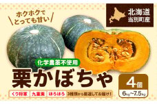 [1.2-206]　北海道当別町産化学農薬不使用かぼちゃ:お任せ4個セット【2025年9月下旬～11月上旬出荷】 st-p