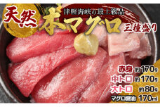 天然本マグロ三種盛り　 MATB002