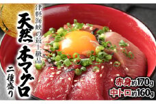 天然本マグロ中トロ＆赤身二種盛り  MATB006