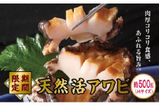 【期間限定】活アワビ約500g Mサイズ あわび 500g  MATB008