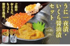 うに一夜漬　60ｇ・いくら醤油漬　60ｇのセット  MATK028