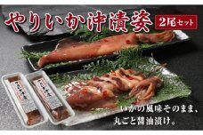 やりいか沖漬姿　1尾×2ケース  MATK029