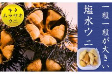 《数量限定》北海道福島町　キタムラサキウニ　塩水ウニパック　100×2パック 【 ふるさと納税 人気 おすすめ ランキング うに ウニ 雲丹 キタムラサキウニ 新鮮 大粒 ミョウバン不使用 数量限定 寿司 刺身 贈答 贈り物 ギフト プレゼント 北海道 福島町 送料無料 】 FKF001