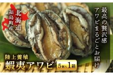 北海道福島町 陸上養殖「蝦夷アワビ」5個入