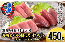 【2026年1月以降順次発送】北海道福島町 水揚げ 本マグロ 「海峡まぐろ」 贅沢セット（大トロ・中トロ・赤身） ふるさと納税 人気 おすすめ ランキング 本まぐろ 本マグロ 本鮪 海峡まぐろ 海峡マグロ 海峡鮪 海鮮 天然 赤身 中トロ 大トロ 刺身 数量限定 ギフト プレゼント 北海道 福島町 送料無料 FKO013
