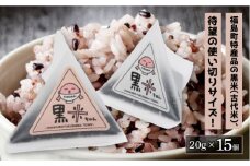 福島町産きたのむらさき　黒米ちゃん ふるさと納税 人気 おすすめ ランキング くろまい こくまい くろごめ 黒米 古代米 もち米 きたのむらさき 特産 使い切り 健康志向 贈答 贈り物 ギフト プレゼント 北海道 福島町 送料無料 FKB024