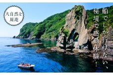 【道南の秘境】岩部クルーズ乗船券１枚 ふるさと納税 人気 おすすめ ランキング 乗船券 券 チケット 岩部クルーズ 秘境 体験 グラスボート 青の洞窟 野生動物 記念撮影付 贈答 贈り物 ギフト プレゼント 北海道 福島町 送料無料 FKB004