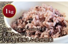 古代米・黒米「きたのむらさき」1kg ふるさと納税 人気 おすすめ ランキング こめ コメ 米 こくまい くろごめ 黒米 きたのむらさき 古代米 玄米 もち米 先行予約 健康 贈答 贈り物 ギフト プレゼント 北海道 福島町 送料無料 FKE001